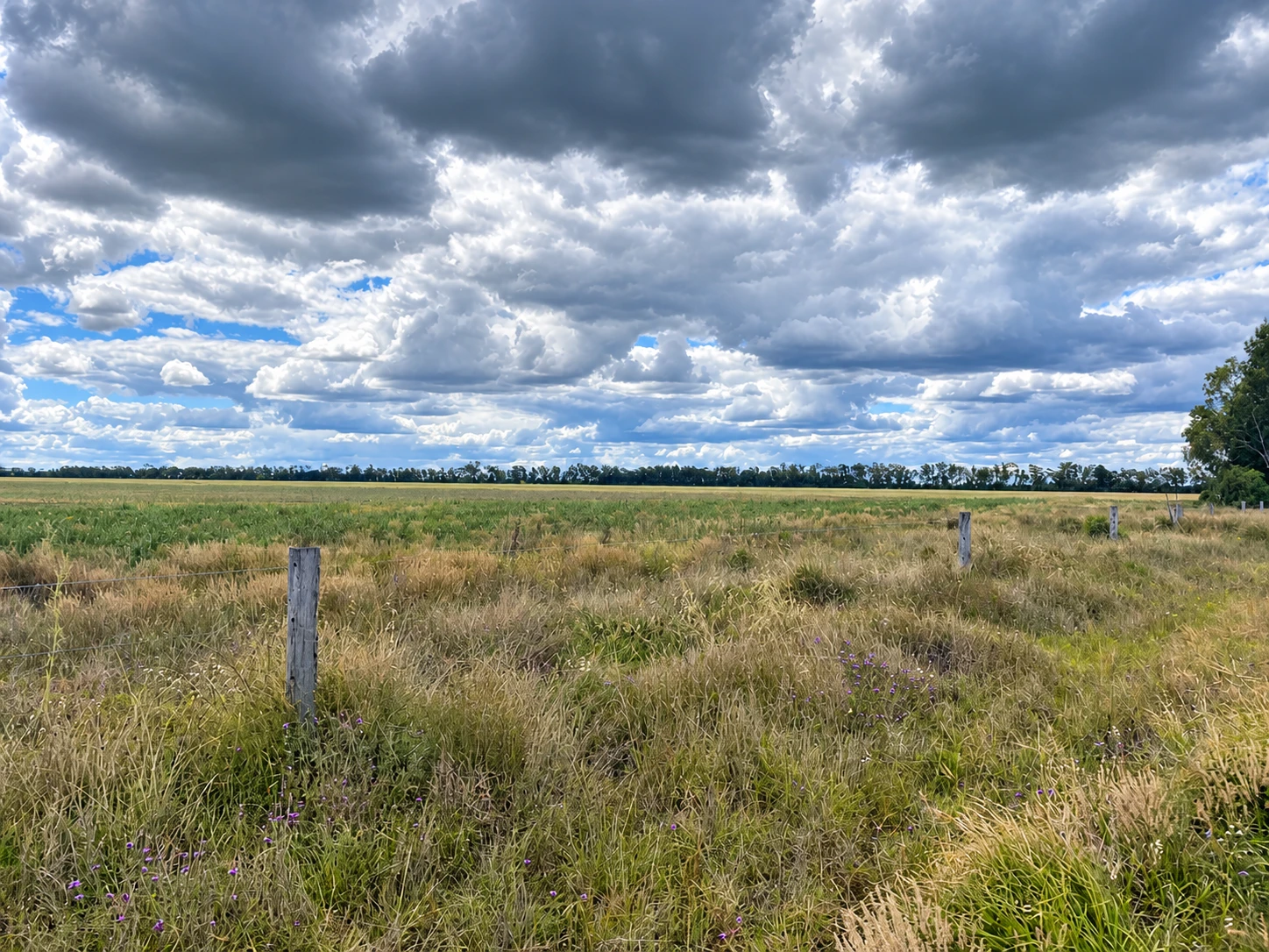 Punch's Creek Stage 1 - South West Queensland Renewable Energy Zone